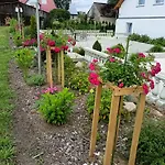 Pod Debami Bed & Breakfast Boleslawiec (Lower Silesia)