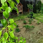 Bed & Breakfast Pod Debami 3*