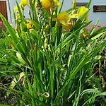 Pod Debami Bed & Breakfast Boleslawiec (Lower Silesia)