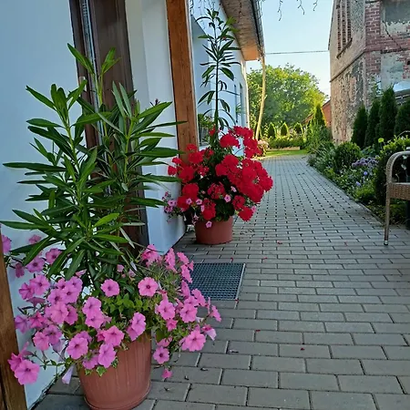 Pod Debami Bed & Breakfast