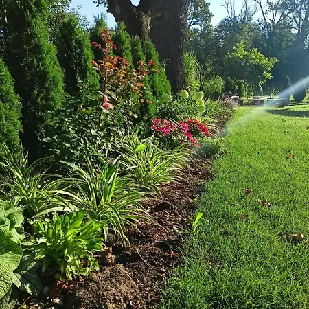 Pod Debami 볼레스와비에츠