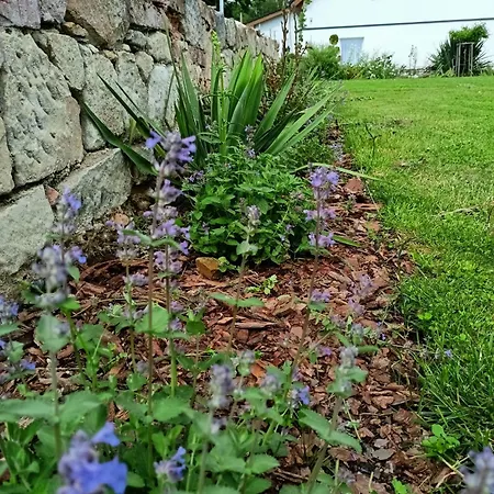 Pod Debami 3* 볼레스와비에츠