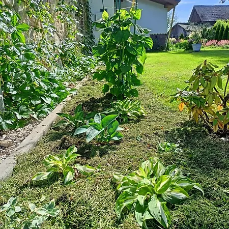 Pod Debami 3* 볼레스와비에츠