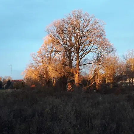 Bed & Breakfast Pod Debami