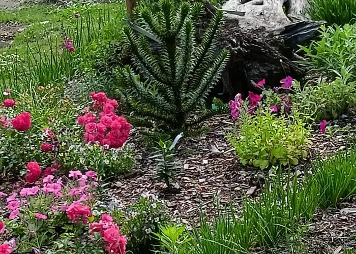 Oda ve Kahvaltı Pod Debami Boleslawiec (Lower Silesia)