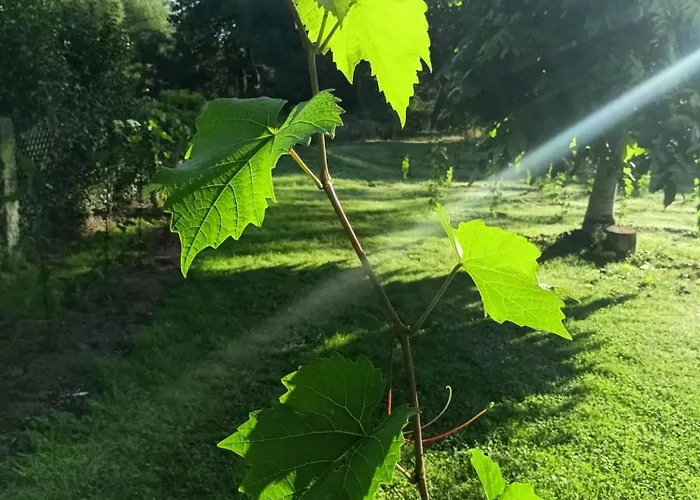 Pod Debami Boleslawiec (Lower Silesia)