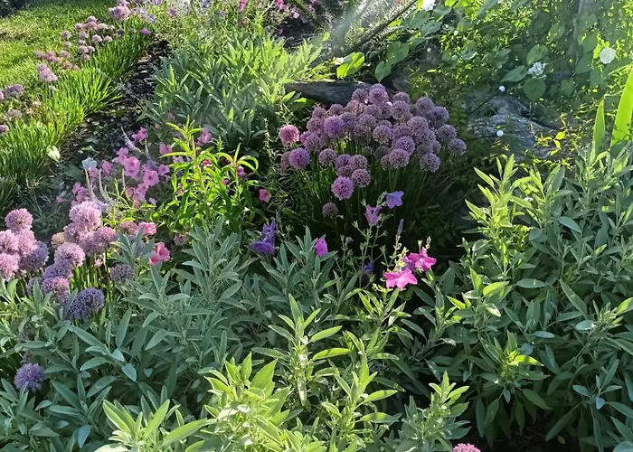 Oda ve Kahvaltı Pod Debami