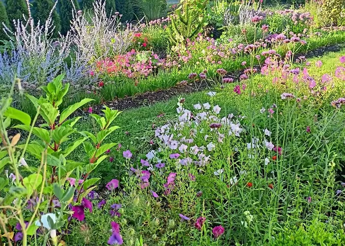 Oda ve Kahvaltı Pod Debami 3*