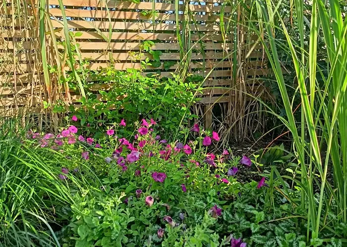 Pod Debami Oda ve Kahvaltı Boleslawiec (Lower Silesia)