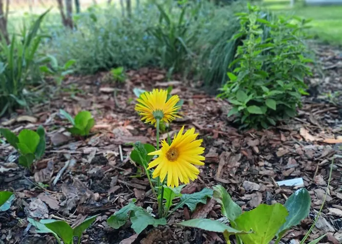 Pod Debami Boleslawiec (Lower Silesia)