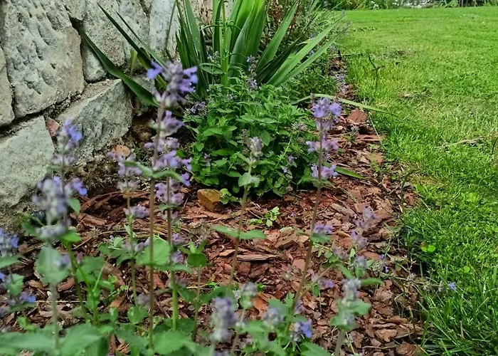 Pod Debami 3* Boleslawiec (Lower Silesia)