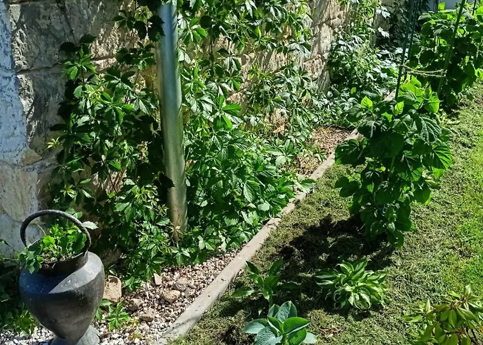 Pod Debami Oda ve Kahvaltı