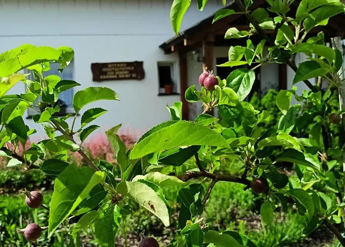 Oda ve Kahvaltı Pod Debami