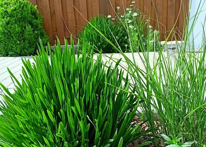 Oda ve Kahvaltı Pod Debami Boleslawiec (Lower Silesia)