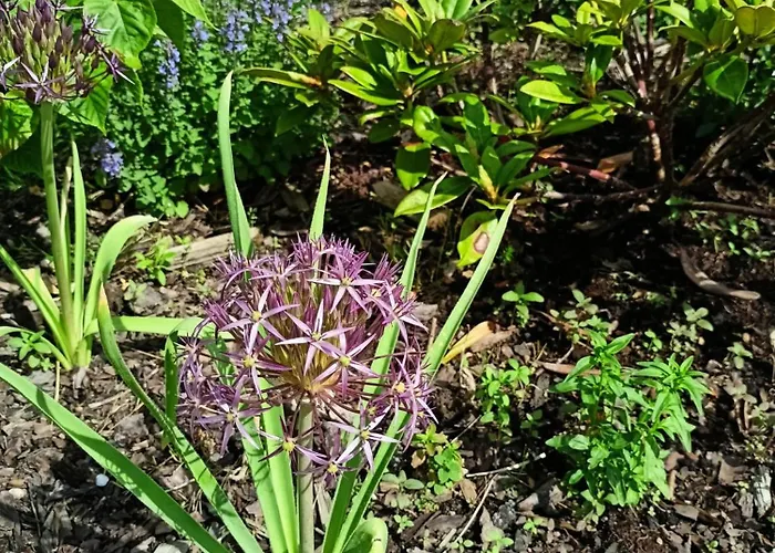 Pod Debami Boleslawiec (Lower Silesia)