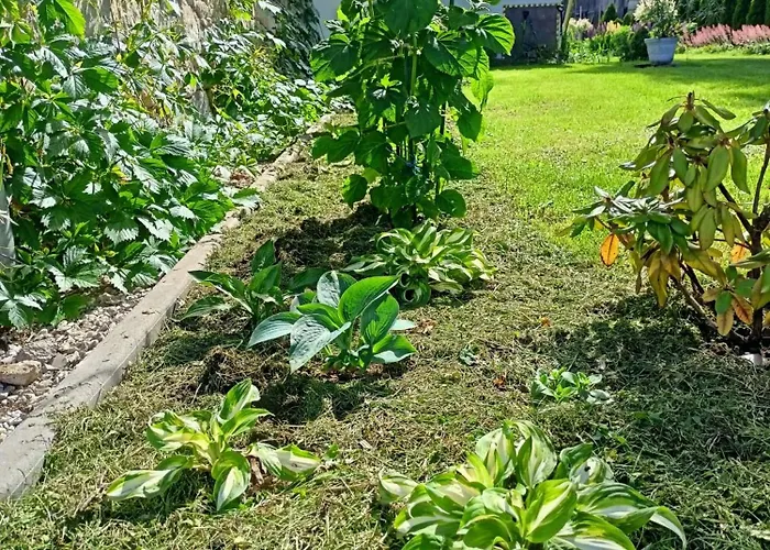 Pod Debami 3* Boleslawiec (Lower Silesia)