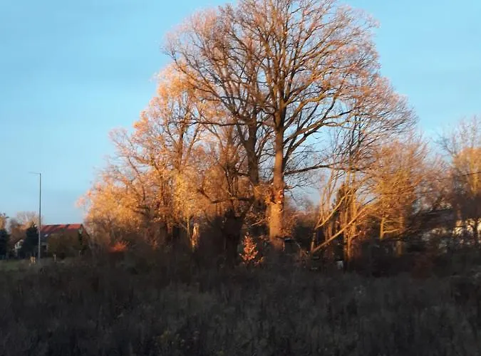 Oda ve Kahvaltı Pod Debami